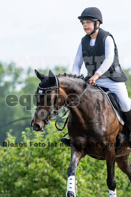 Goldene Schärpe 2021 - Ponys