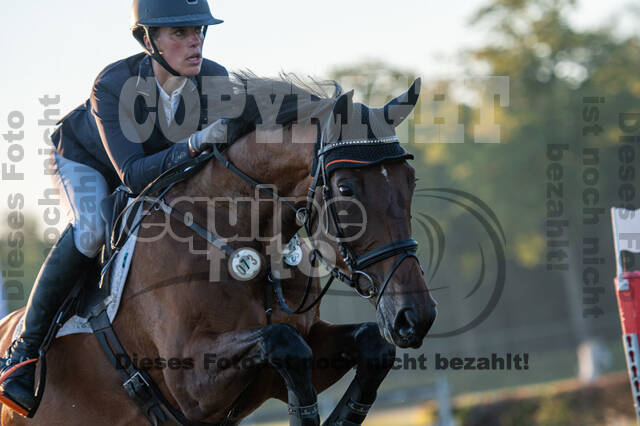 De Peelbergen (August 2020)