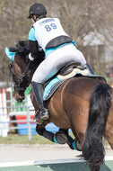 Eventing Langenfeld 2018