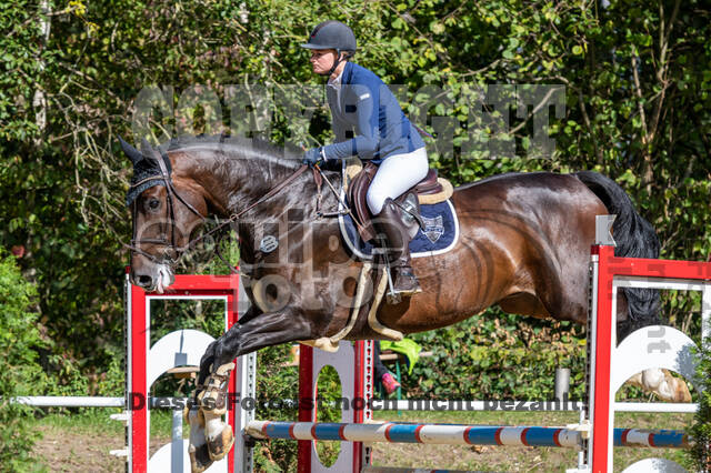 RFV Dinslaken-Hiesfeld (Herbstturnier)