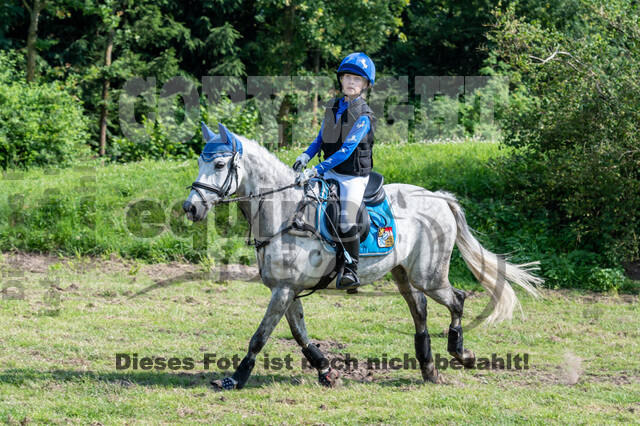 Goldene Schärpe 2021 - Ponys