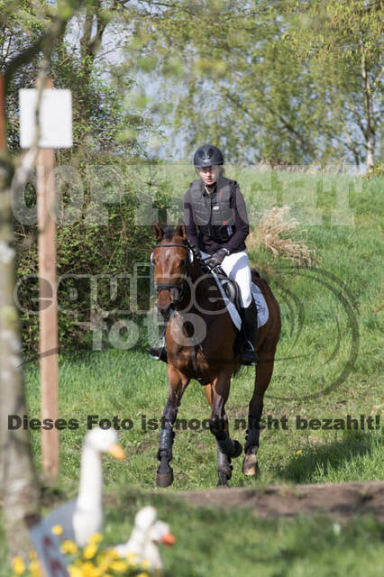 Vielseitigkeitsturnier RV Lippe-Bruch-Gahlen