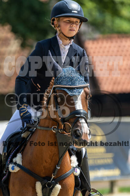 Goldene Schärpe 2021 - Ponys