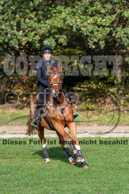 IGV Lehrgang der Sieger der Cups mit Frank Ostholt