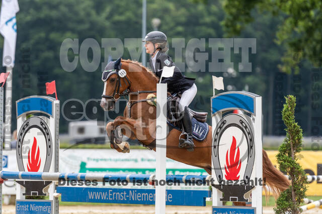 Goldene Schärpe 2021 - Ponys