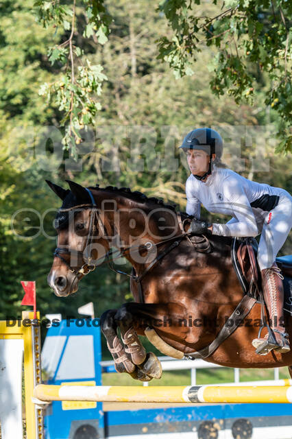 RFV Dinslaken-Hiesfeld (Herbstturnier)