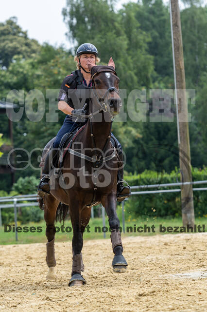 Hunter Geländetraining 10.07.2021 (Sonsbeck)