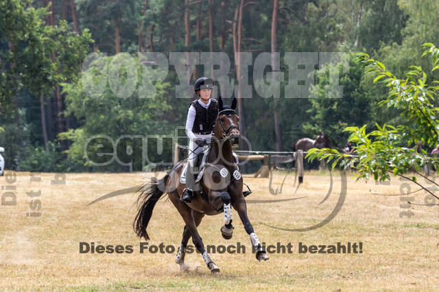 Late-Entry Vielseitigkeit Hamminkeln/Wesel (01.+02.08.2020)