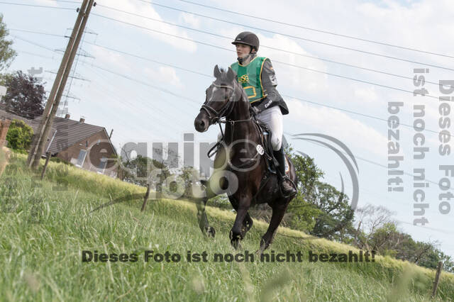 Vielseitigkeitsturnier ZRuFV von Lützow Hamminkeln