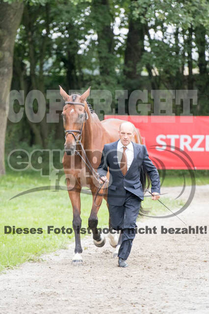 FEI European Championship Eventing 2017