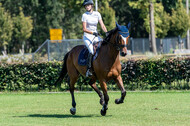 Kronenberg - De Peelbergen (August 2020)