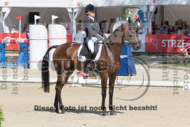 FEI European Championship Eventing 2017