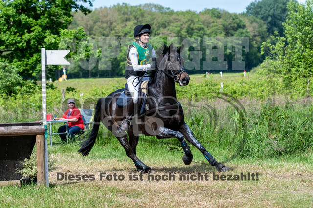 Westerstede Horse Trials (10.-13.06.2021)