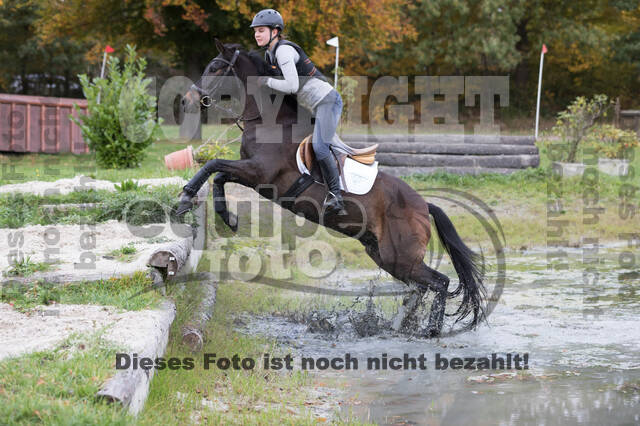 IGV Lehrgang der Sieger der Cups mit Frank Ostholt