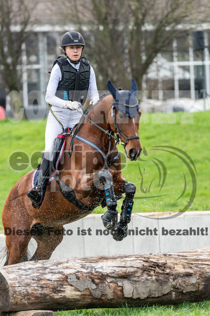 Goldene Schärpe 2020 - Pferde