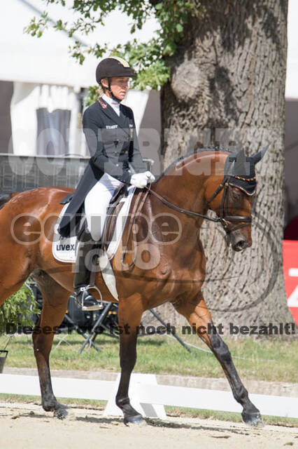 FEI European Championship Eventing 2017