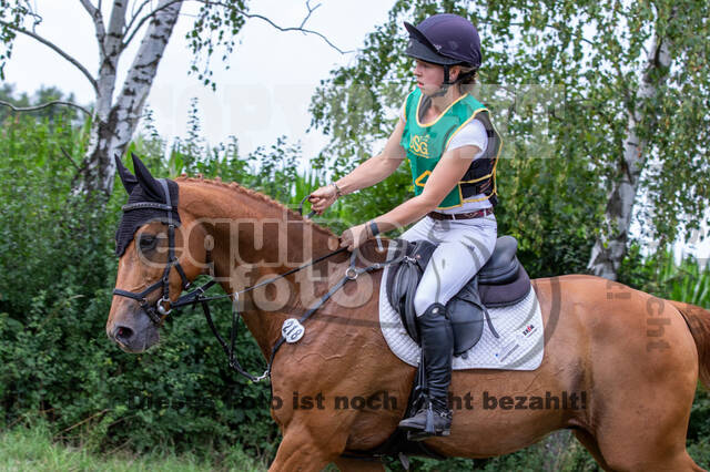 Late-Entry-Vielseitigkeit Gahlen (18.07.2020)