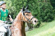 RFV Bad Honnef