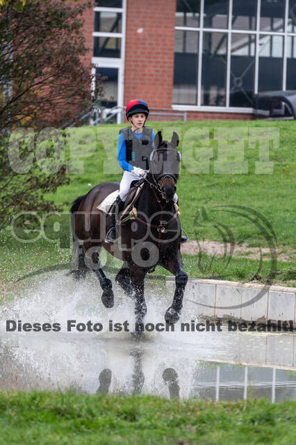 Goldene Schärpe 2020 - Pferde