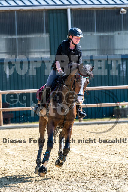 Geländetraining ZRFV Hamminkeln (09.05.2021)