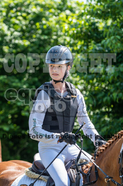 Goldene Schärpe 2021 - Ponys