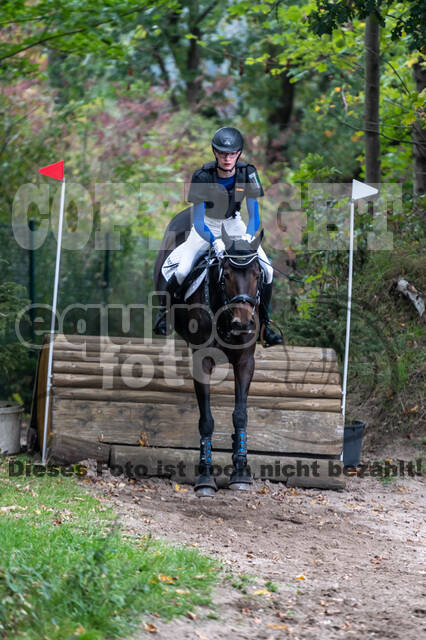 Goldene Schärpe 2020 - Pferde