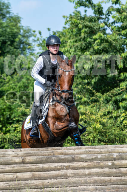 Goldene Schärpe 2021 - Ponys