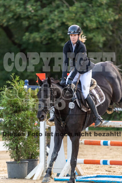 RFV Dinslaken-Hiesfeld (Herbstturnier)