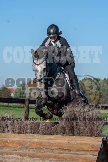 Vielseitigkeitslehrgang mit Jürg Kurbel (9.+10.11.2019)