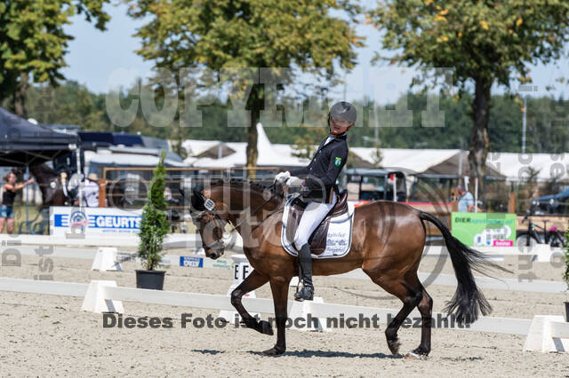 Kronenberg - De Peelbergen (August 2020)