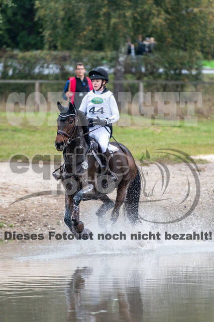 Deutsche Meisterschaft Vielseitigkeit (Luhmühlen)