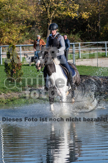 IGV Lehrgang der Sieger der Cups mit Frank Ostholt