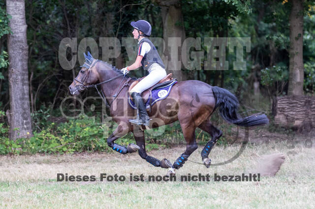 Late-Entry Vielseitigkeit Hamminkeln/Wesel (01.+02.08.2020)