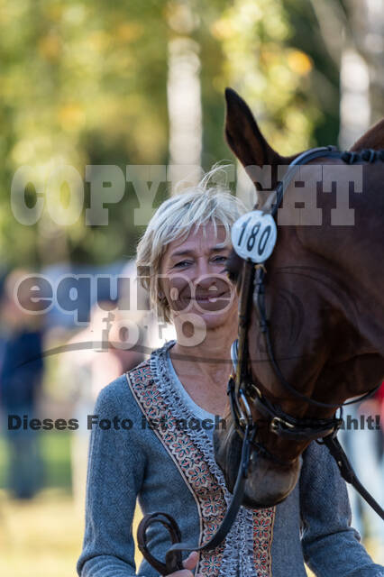 Deutsche Meisterschaft Vielseitigkeit (Luhmühlen)