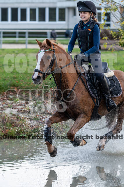 IGV Lehrgang der Sieger der Cups mit Frank Ostholt
