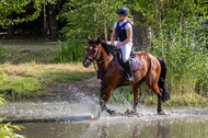 Late-Entry Vielseitigkeit Hamminkeln/Wesel (01.+02.08.2020)
