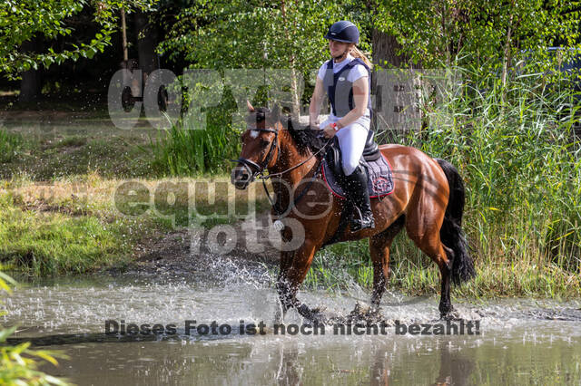 Late-Entry Vielseitigkeit Hamminkeln/Wesel (01.+02.08.2020)
