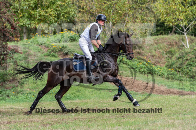 Vielseitigkeit RSV Wesel Obrighoven (26.+27.09.2020)