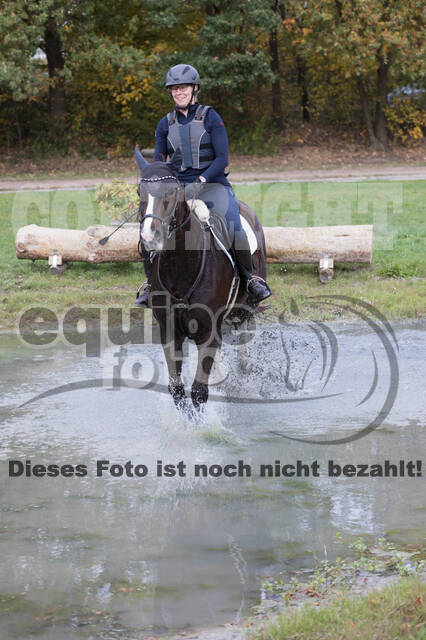 IGV Lehrgang der Sieger der Cups mit Frank Ostholt