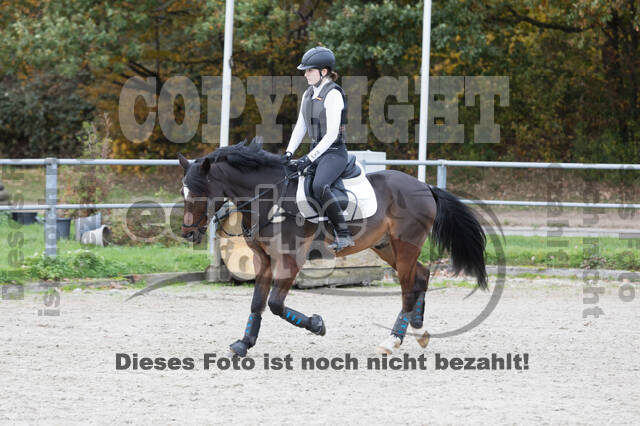 IGV Lehrgang der Sieger der Cups mit Frank Ostholt