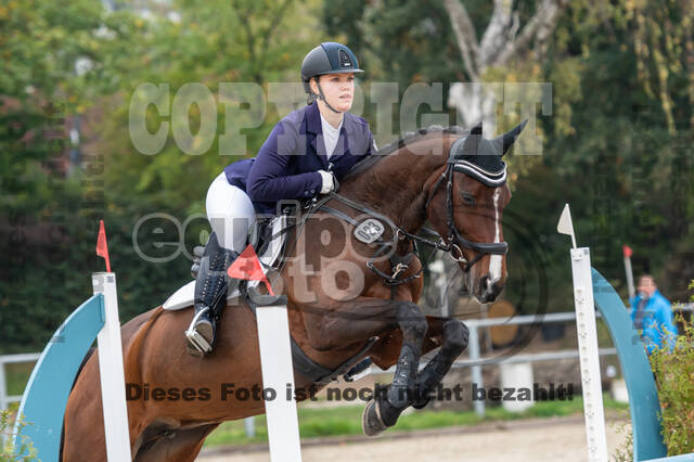 Goldene Schärpe 2020 - Pferde