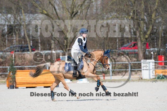 Eventing Langenfeld 2018