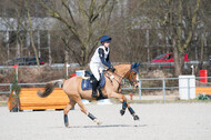 Eventing Langenfeld 2018