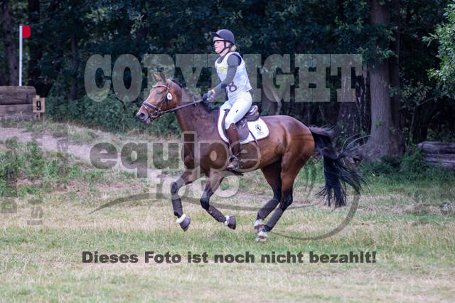 Late-Entry Vielseitigkeit Hamminkeln/Wesel (01.+02.08.2020)