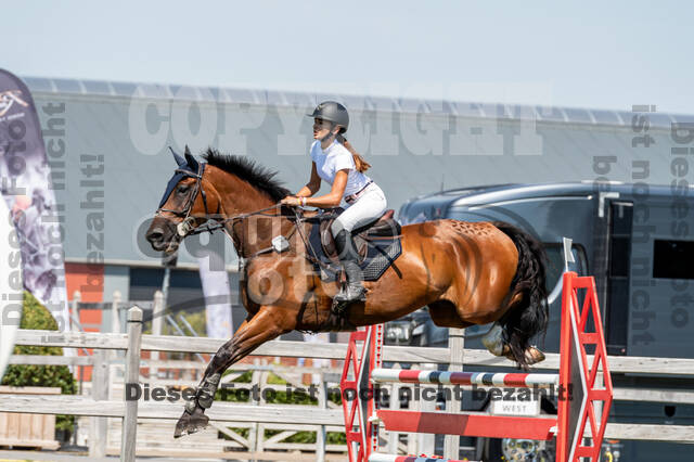 Kronenberg - De Peelbergen (August 2020)