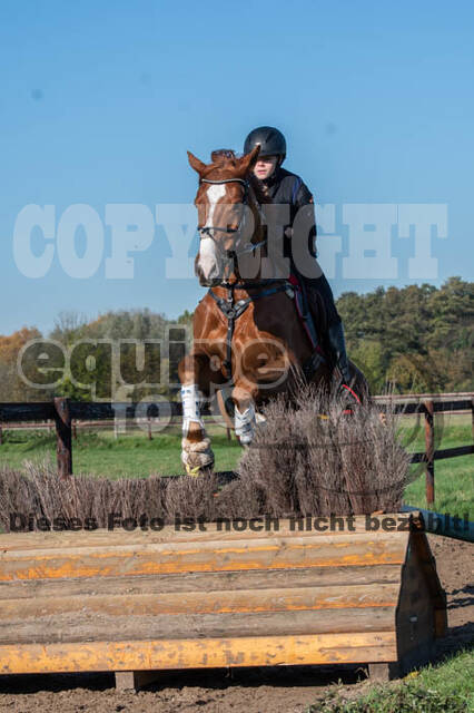 Vielseitigkeitslehrgang mit Jürg Kurbel (9.+10.11.2019)