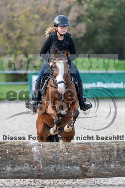 IGV Lehrgang der Sieger der Cups mit Frank Ostholt