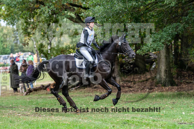 Vielseitigkeit RSV Wesel Obrighoven (26.+27.09.2020)