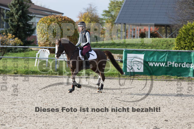 IGV Lehrgang der Sieger der Cups mit Frank Ostholt