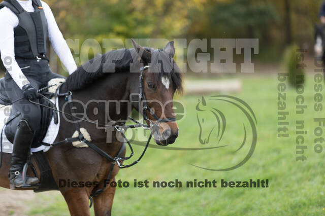 IGV Lehrgang der Sieger der Cups mit Frank Ostholt